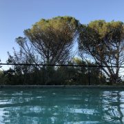 dans la piscine