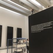 IMG_2452