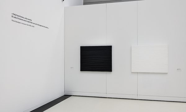 LES DERNIERS SOULAGES_033